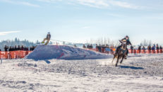 Galopperande hästar som drar skidåkare mitt i Åre