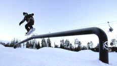 ”– Rolig reunion för alla parkråttor i Stöten!”