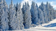 Snöläget i Sverige inför sportloven