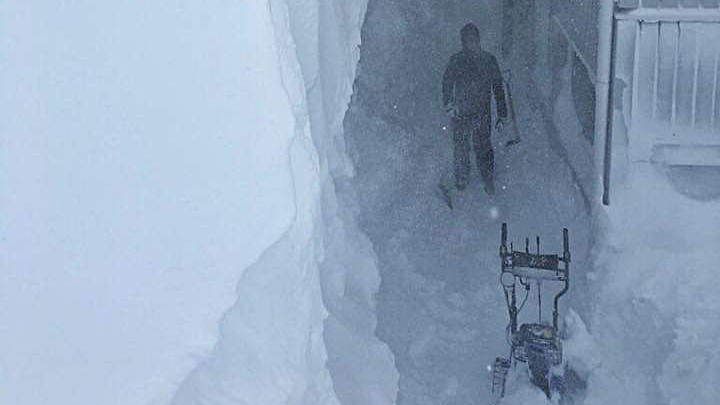 www.freeride.se