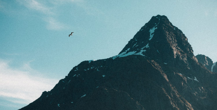 Vem hade anat att man ibland bestiger berg för att hitta vågor i Nordnorge, inte krönikören i alla fall.