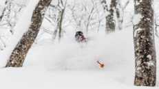 Geto Kogen i Japan – massa puder, inga skidåkare