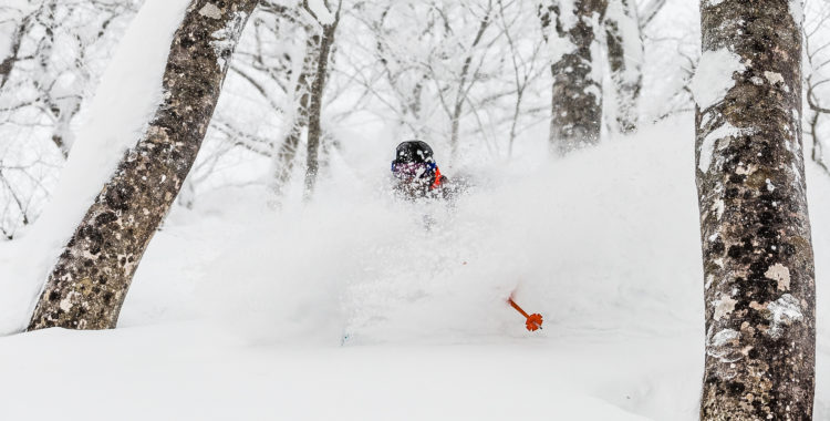 Januari och Japan brukar vara en bra kombination, vi prövade lilla skidorten Geto Kogen.
