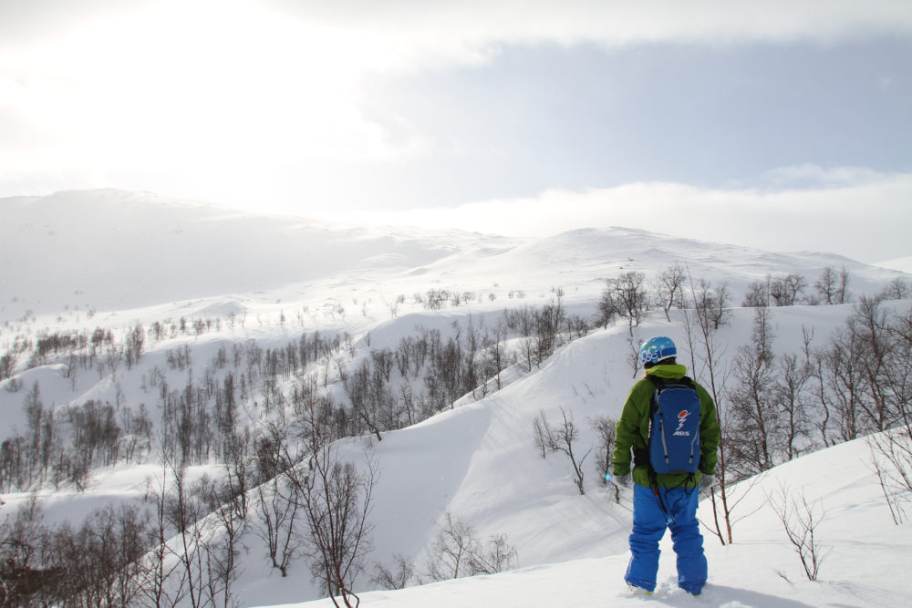 www.freeride.se