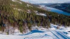 Emrik Jansson/Red Bull Content Pool