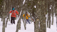Bli bättre på att åka puder i skogen