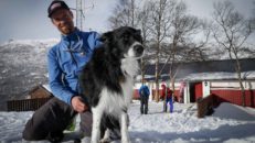 Åter till ruta ett