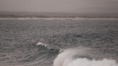 Lif Hyd&eacute;n