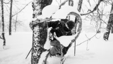 Allt som drar i Eric Pollard