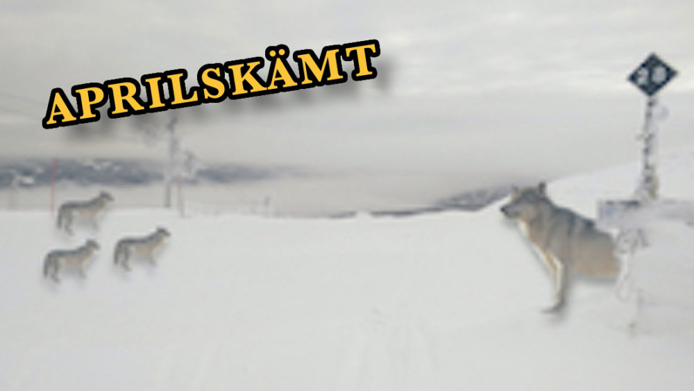 www.freeride.se
