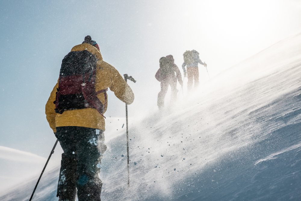 www.freeride.se