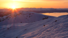 Evig vinter: Ett helt år med skidåkning