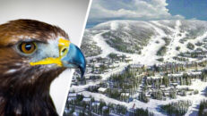 Ny skidanläggning på gång i Sverige: Björnrike Syd