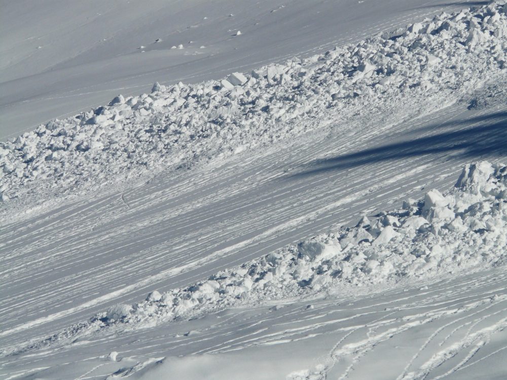 www.freeride.se