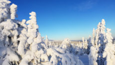 Kritik mot region Dalarna ”- Vi kan tyvärr inte förhindra att man reser upp till fjällen”