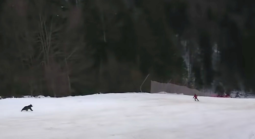 www.freeride.se