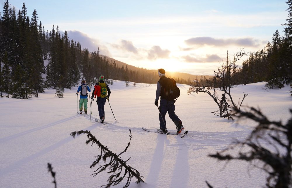 www.freeride.se