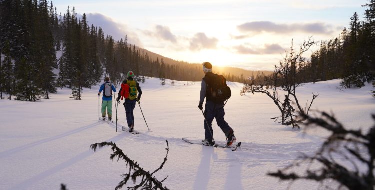 Renfjället i Åre. 