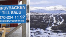 Köp din egen skidort – puderparadiset utanför Åre fortfarande till salu