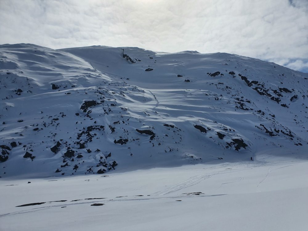 www.freeride.se
