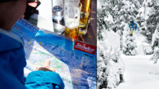 Undersökning: Åker du till Alperna i vinter?