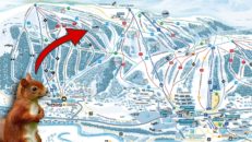 Se upp för flygande ekorrar i Ramundberget