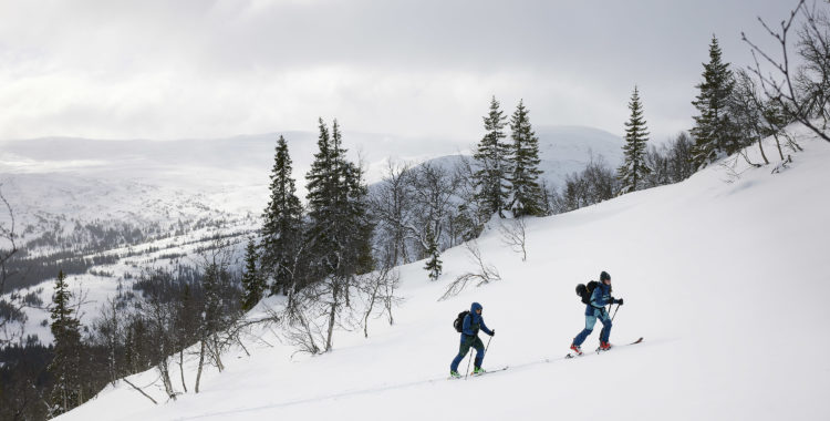 Vinn Haglöfs nya skidställ Vassi Touring. 