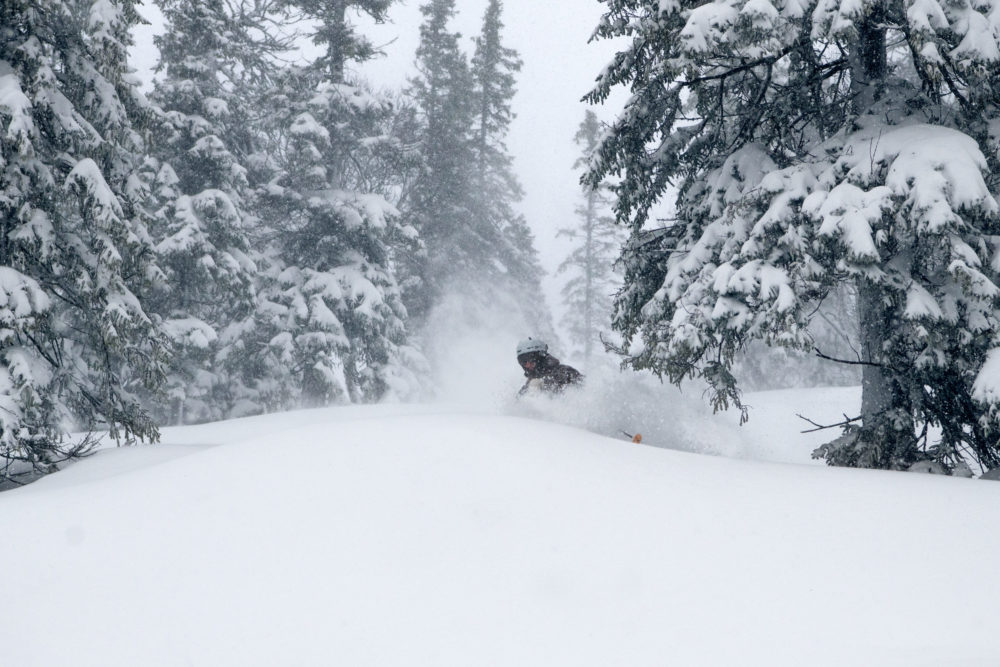 www.freeride.se