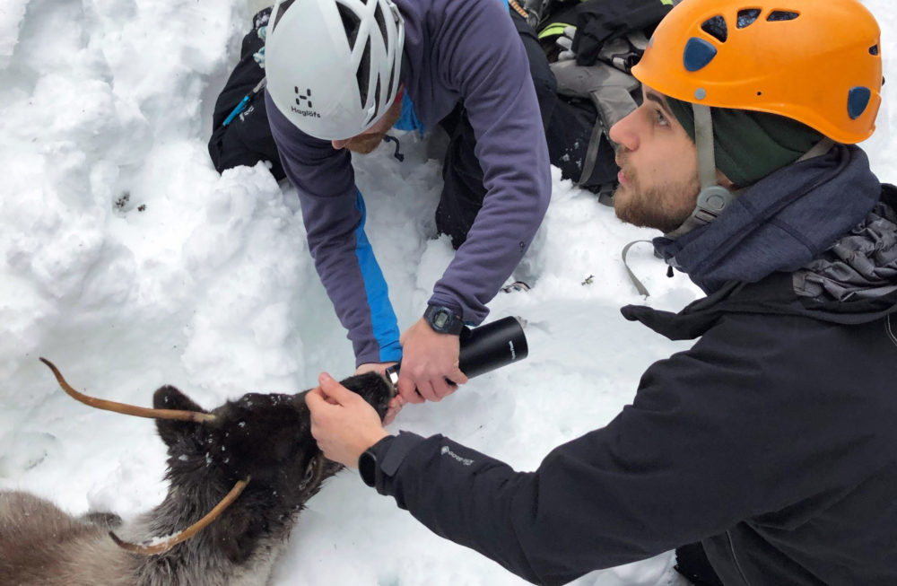 www.freeride.se