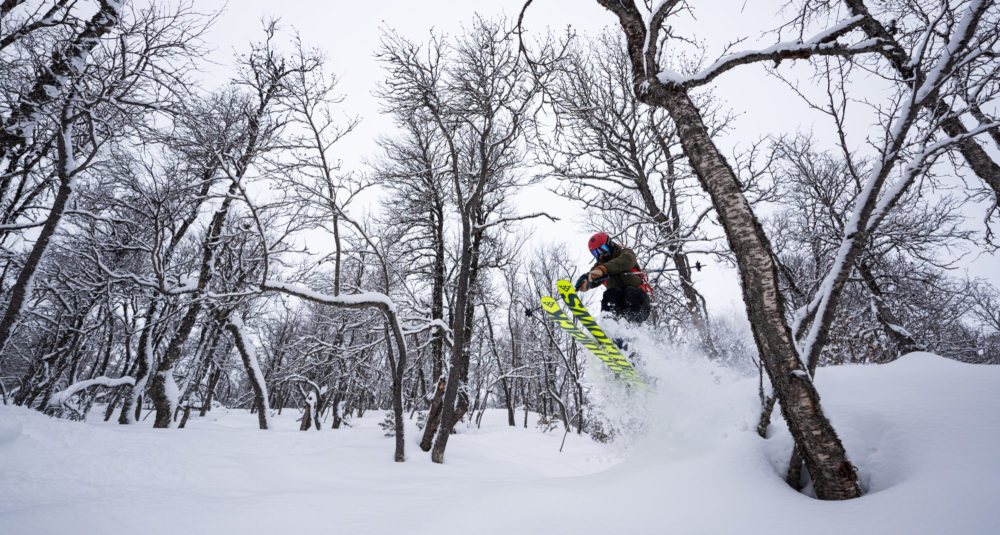 www.freeride.se
