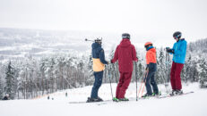Har du 20-70 miljoner över? Köp två svenska skidorter
