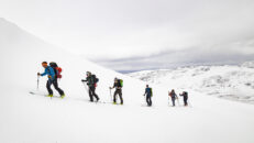 Whiteout på Höga Jämtlandsleden