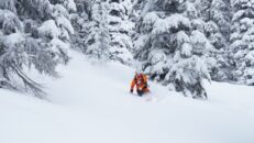 Offpistguide: 5 guldkorn i Revelstoke