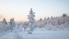 Snö väntas till helgen i Sverige