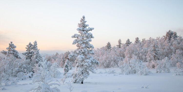 Snö väntas till helgen.