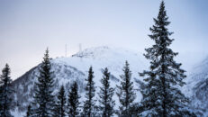Skidåkare död i Åre – åkte in i ett träd