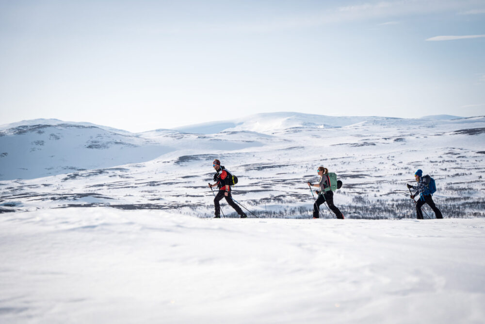 www.freeride.se