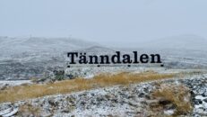 Vintern är här – snö i fjällen