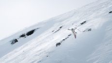 Se finalen i Extrem NM (SMBC) Live här!