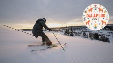 Fyra dalaanläggningar plus Funäsfjällen: så funkar Dalaplus