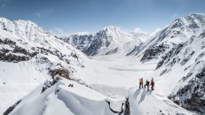 Fem snubbar och ett får: på skidor i Karakoram